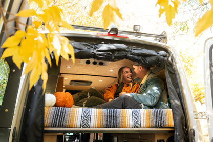 Mercedes Sprinter Bug Screen - Rear Door - Featherbuilt