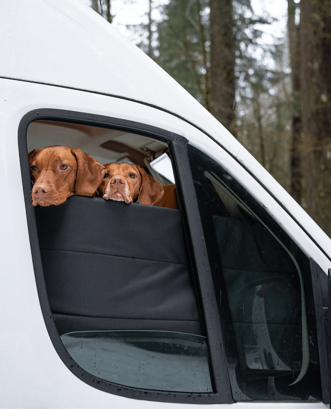 Ram Promaster Stealth Front Door Window Covers (Pair) - Featherbuilt